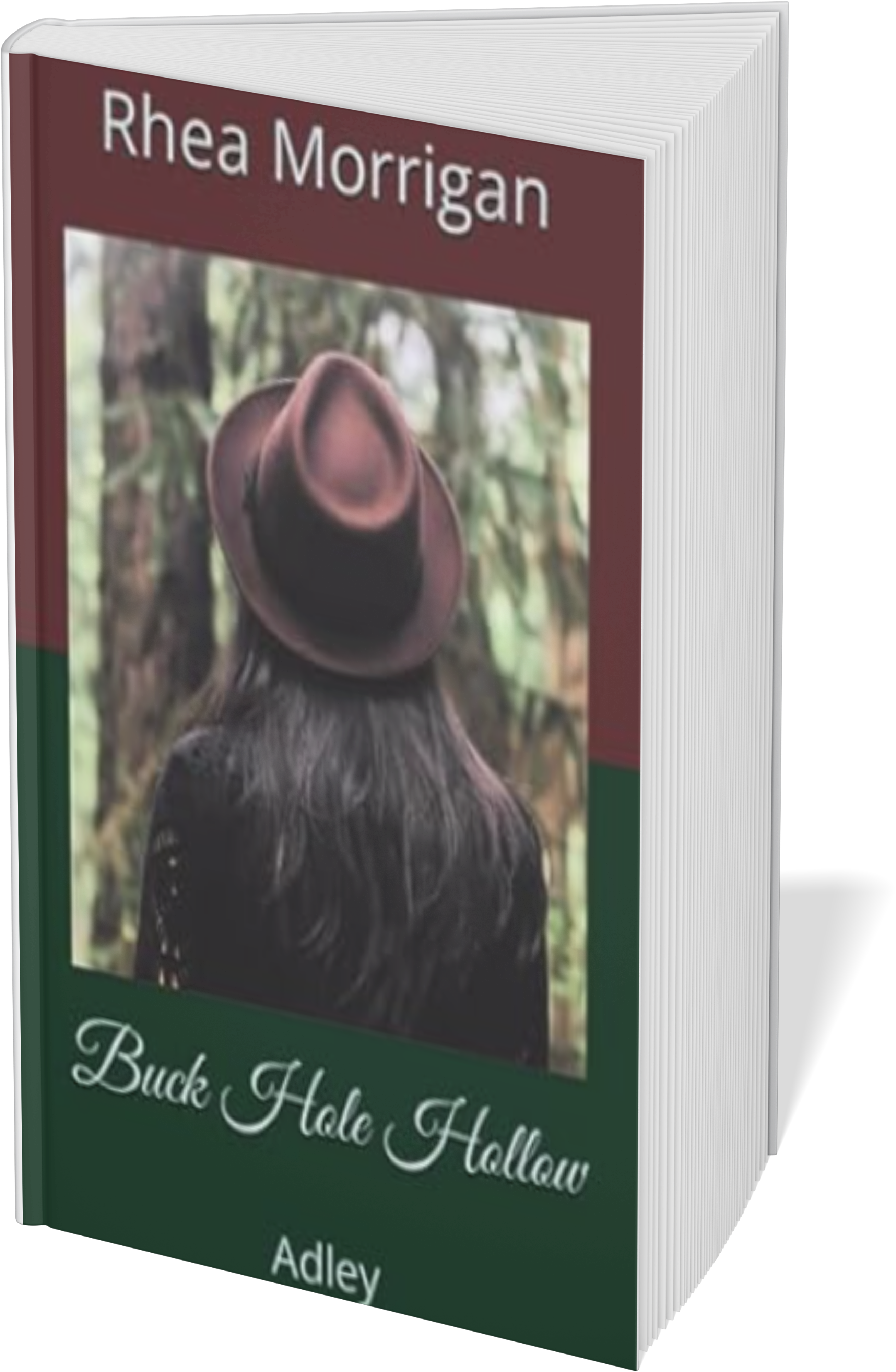 Book Cover for Buck Hole Hollow: Adley