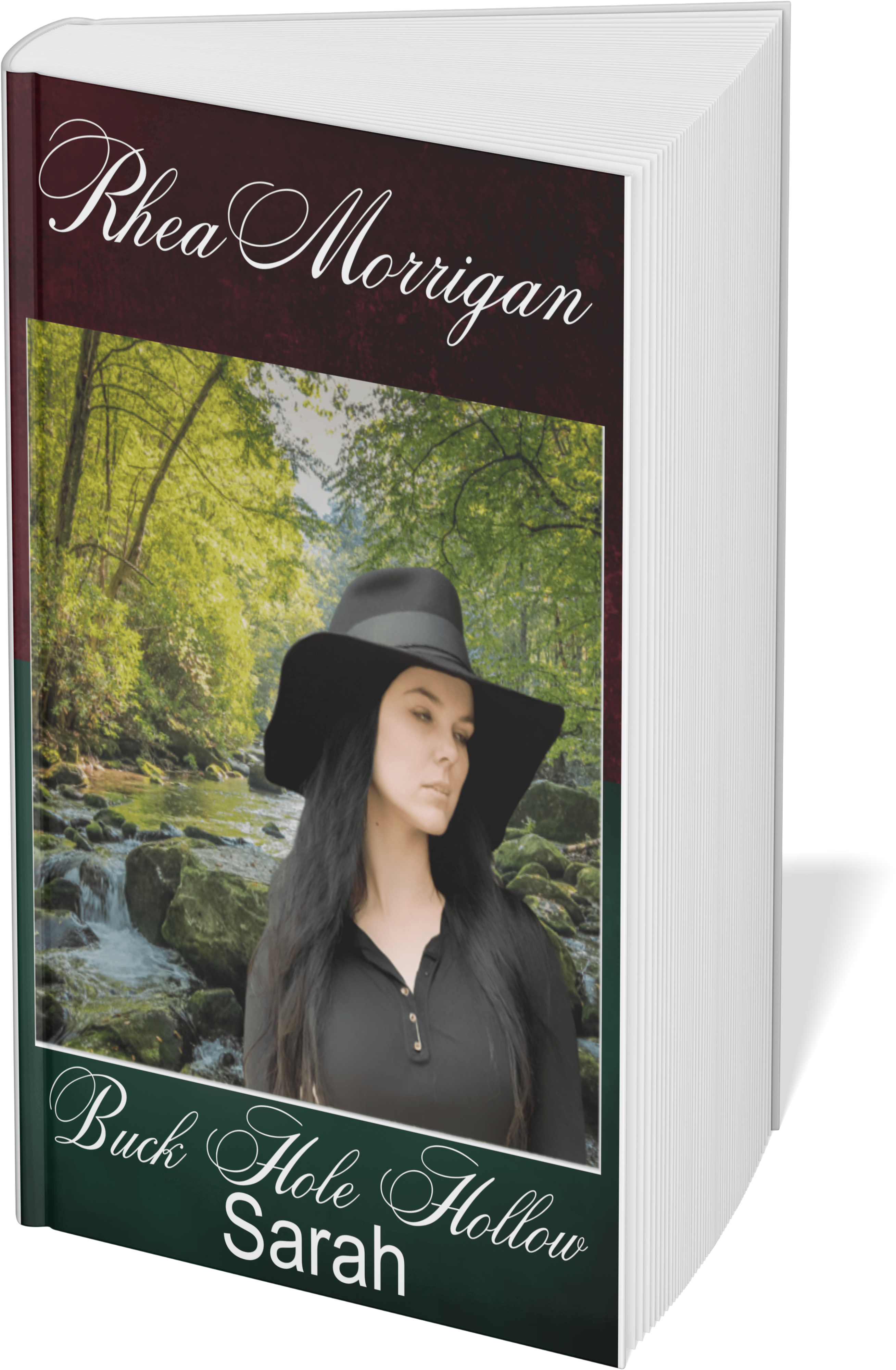 Image of cover of Sarah: The Buck Hole Hollow Series Book 3